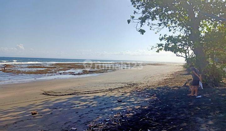 Tanah pinggir pantai (beach front) 30 menit ke pantai Medewi Bali 3