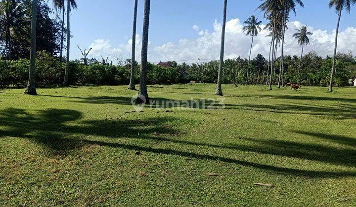 Tanah pinggir pantai (beach front) 30 menit ke pantai Medewi Bali 6