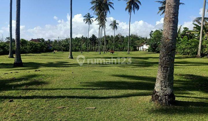 Tanah pinggir pantai (beach front) 30 menit ke pantai Medewi Bali 7
