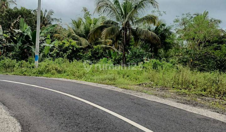 Tanah view sungai kecil dekat exit toll Antosari Bali 1