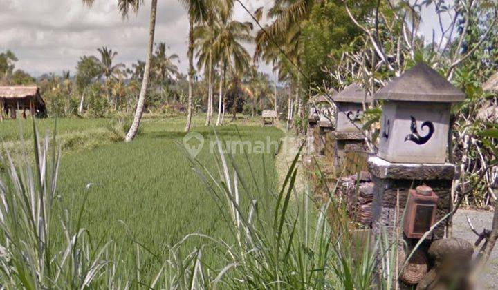 Tanah datar siap bangun di Buahan Kaja Payangan Bali 1