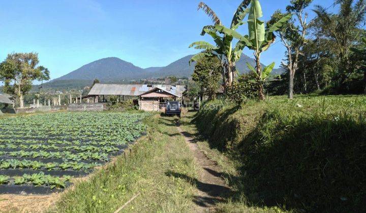 Garden land with valley and mountain views in Baturiti near Bedugul Bali 2