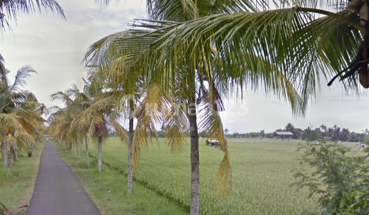 Tanah di jalan utama Denpasar Gilimanuk dekat pantai Candikusuma Bali 4