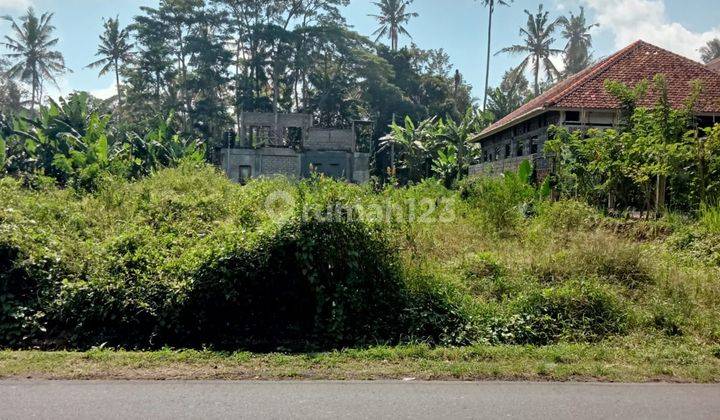 Tanah di Sibang Badung zona Perdagangan dan Jasa cocok untuk usaha 3