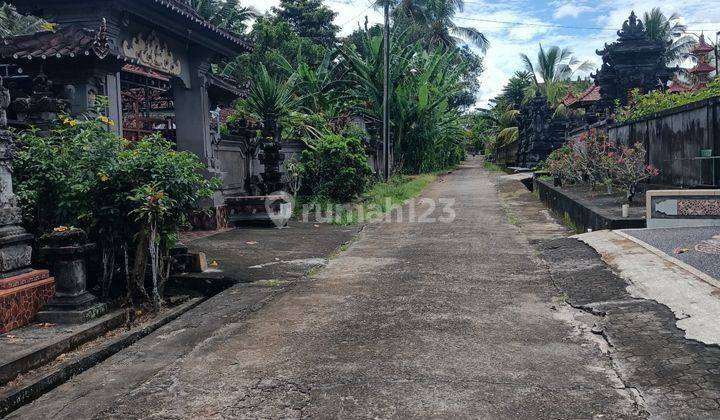 Land in Kerambitan 17 minutes to Kelating beach Bali 2