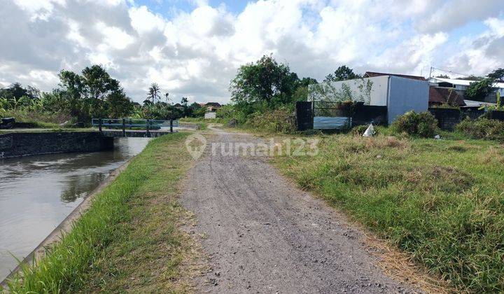 Tanah view sawah di Lukluk Badung 20 menit ke Canggu 1