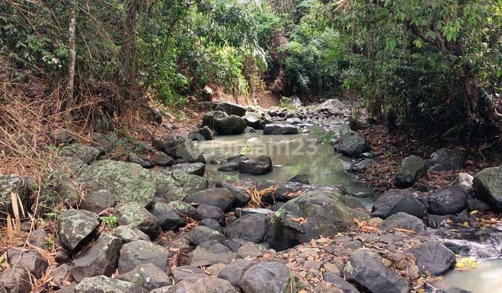 Land near the beach with river and mountain views, 50 minutes to Canggu Bali 1