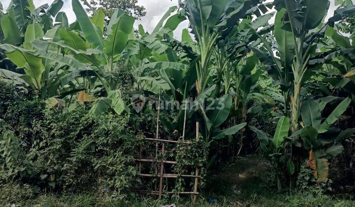 Tanah di Persada Kerobokan dekat Seminyak Bali 2