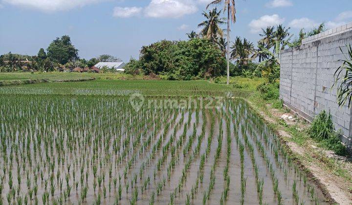 Land for leasehold in Lodtunduh Ubud with rice fields view 1