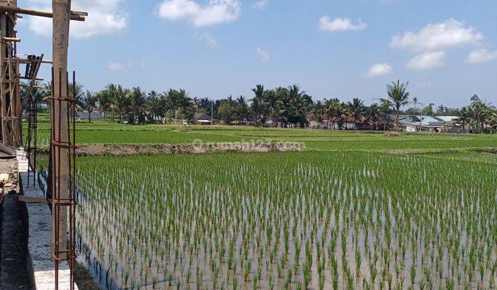 Land for leasehold in Lodtunduh Ubud with rice fields view 2