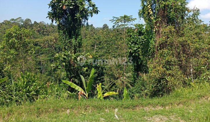 Tanah view lembah dan jungle dekat Samsara Resort Ubud Bali 1