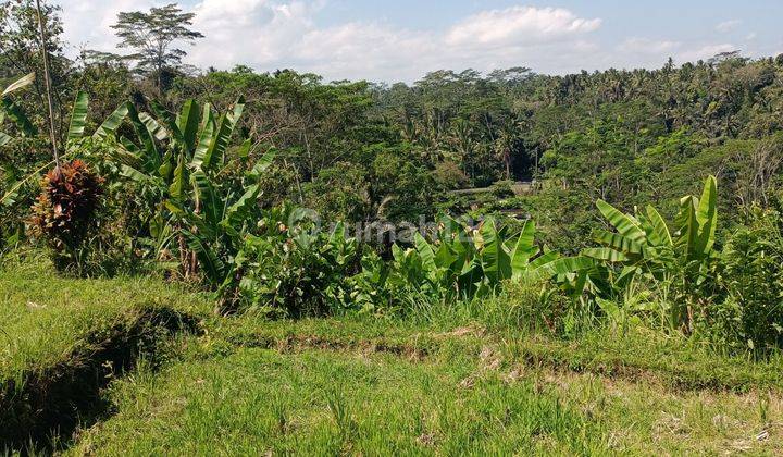 Tanah view lembah dan jungle dekat Samsara Resort Ubud Bali 2