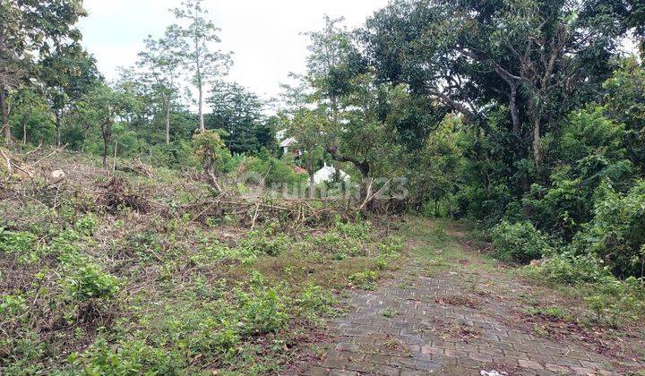 Yellow Zone Land in Belimbing Sari Pecatu for Lease 1