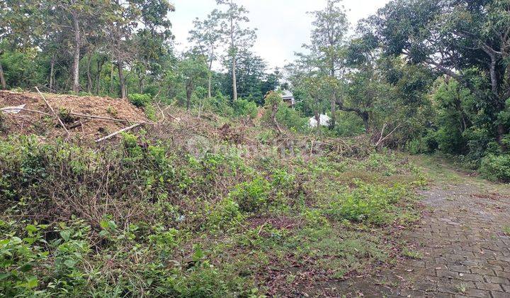 Yellow Zone Land in Belimbing Sari Pecatu for Lease 2