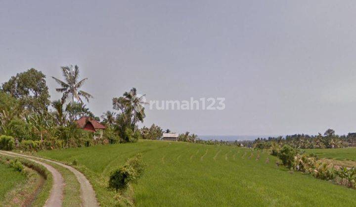 Tanah sawah di Selemadeg Timur Tabanan Bali 1