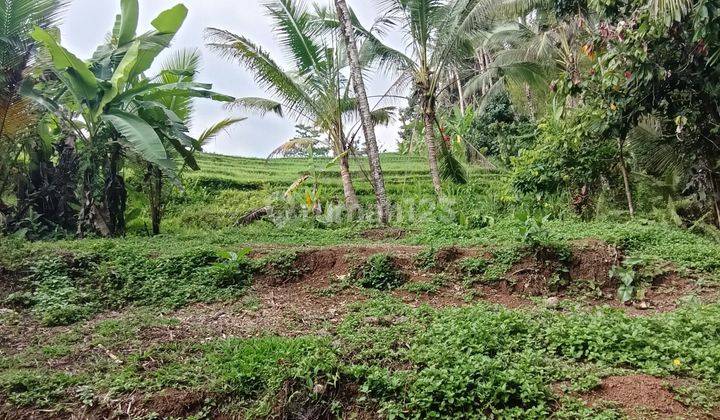 Land for leasehold in Tabanan Bali close Sing Sing Angin waterfall 2