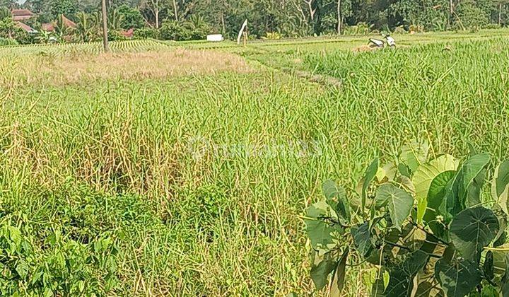 Tanah view sawah dekat Exit Toll Tabanan Bali 1