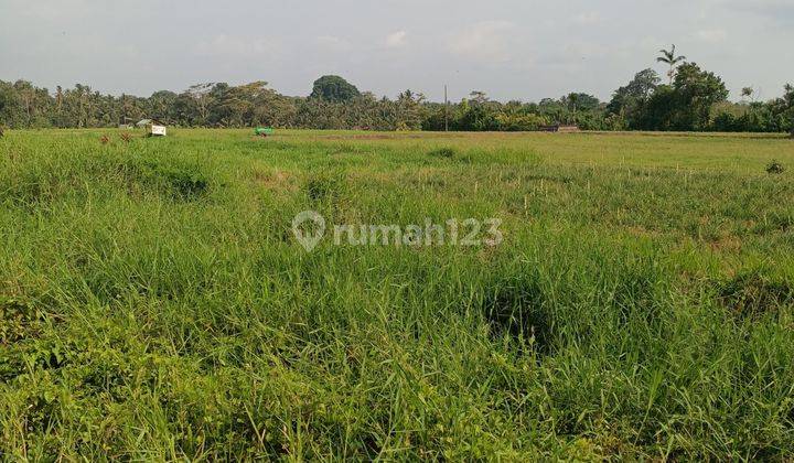 Tanah view sawah dekat Exit Toll Tabanan Bali 2