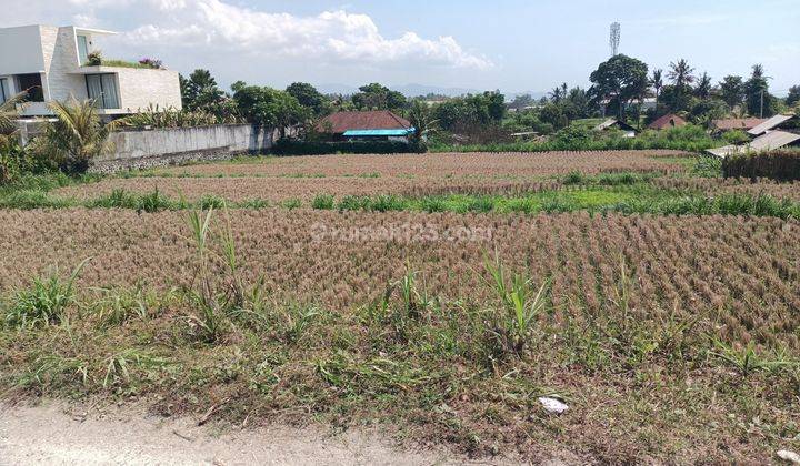 Land for Leasehold close Komune Beach Club Bali 2