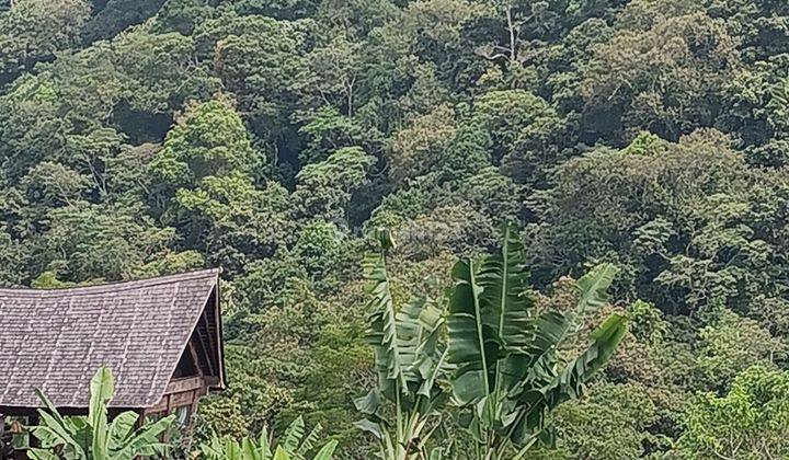 Land in Bedugul Bali near jungle view lake and valley 1