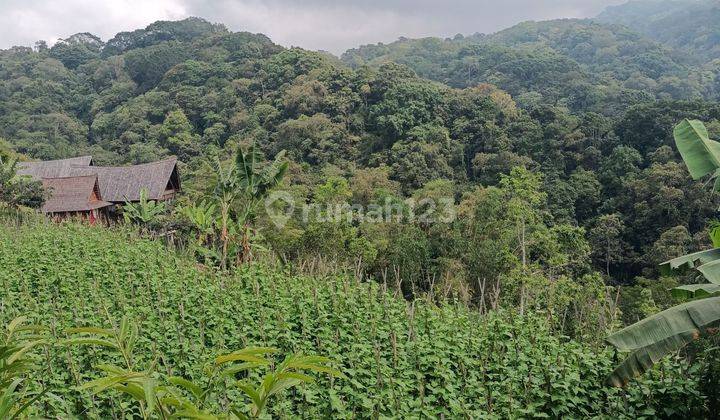 Land in Bedugul Bali near jungle view lake and valley 2