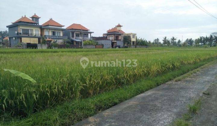 Tanah Zona Pariwisata view sawah di Sayan Ubud Bali 1