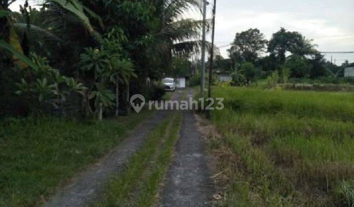 Tanah Zona Pariwisata view sawah di Sayan Ubud Bali 2