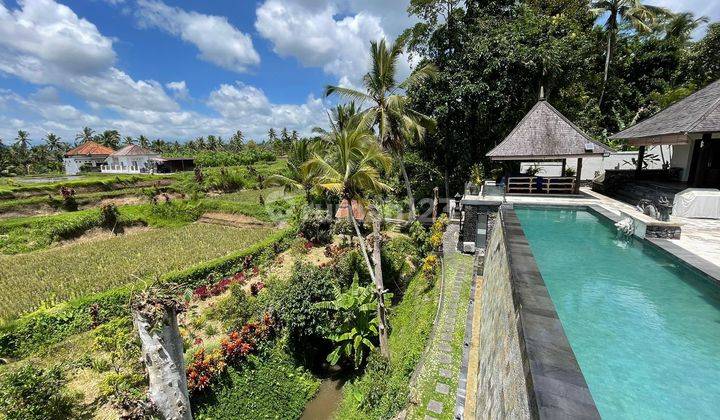 Villa view sawah di Ubud Bali 1