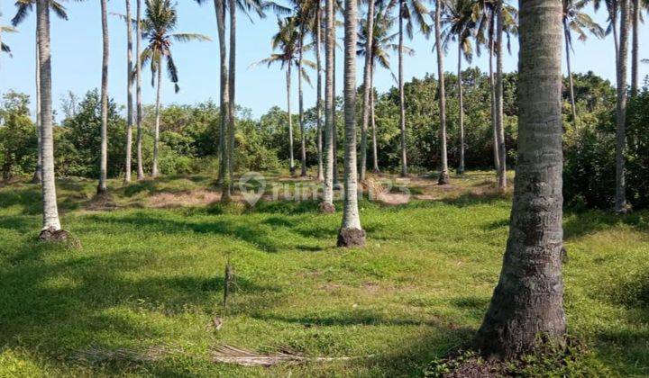 Beachfront Land Tourism Zone near Paramount Bali 2