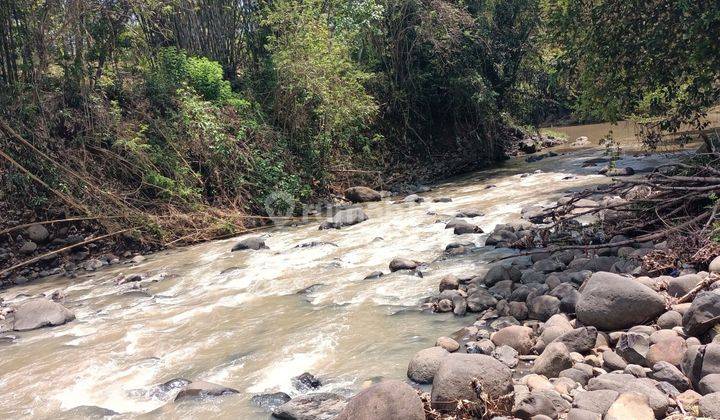 Land with river and jungle views near Soka Beach Tabanan Bali 1