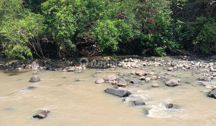 Land with river and jungle views near Soka Beach Tabanan Bali 2