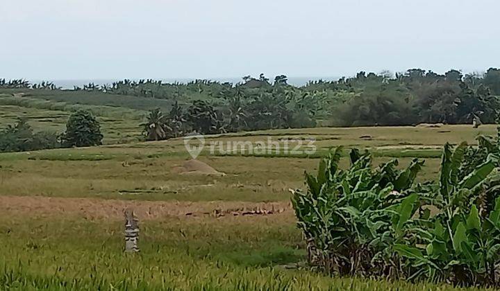 Tanah Zona Pariwisata (Pink Zone) dekat Soori Kelating Bali 1