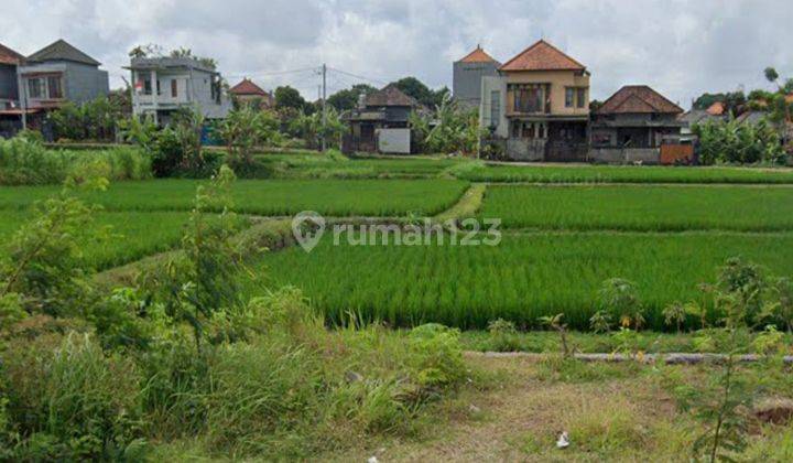 Tanah view sawah di Siulan Denpasar Timur 1