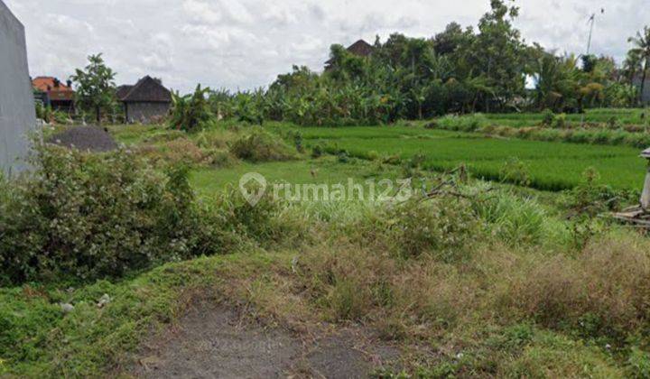 Tanah view sawah di Siulan Denpasar Timur 2