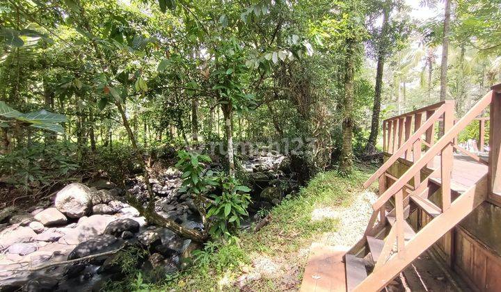 Tanah view sungai dekat Villa Bali Lush dan Bali Green Retreat 1