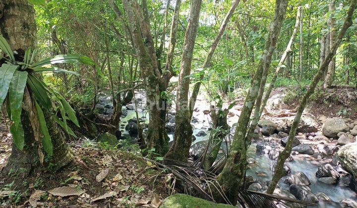 Tanah view sungai dekat Villa Bali Lush dan Bali Green Retreat 2