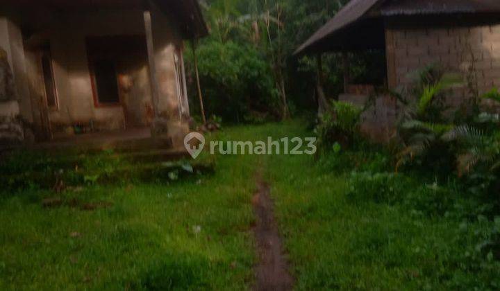 Land for Leasehold in Kedewatan Ubud with jungle views 2