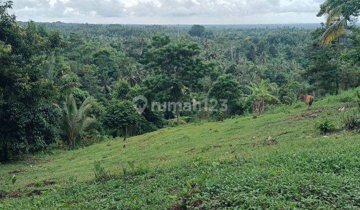 Tanah view gunung dan lembah dekat villa di Tabanan Bali 1