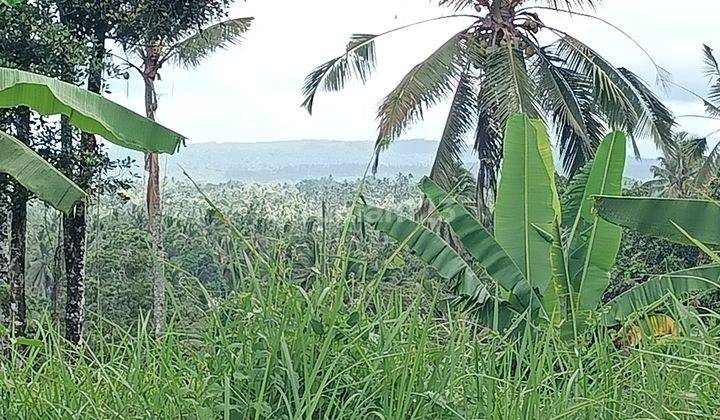 Garden land with mountain and valley views near Bali Eco Stay 1