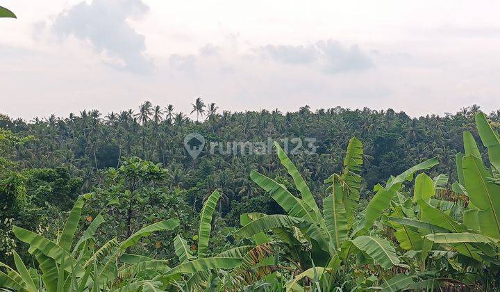 Jungle view land close to Kelecung Beach Bali 1