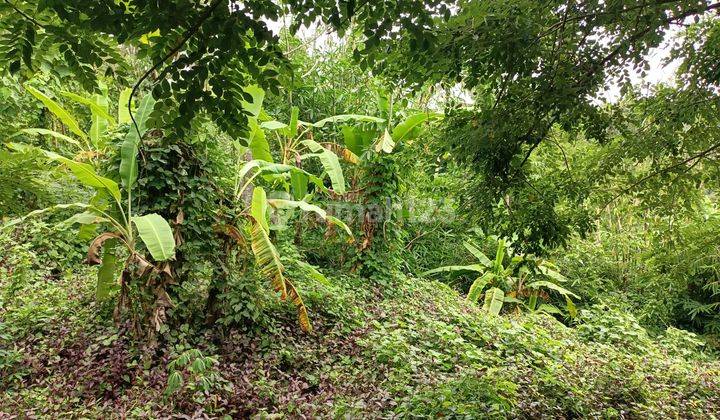 Jungle view land close to Kelecung Beach Bali 2