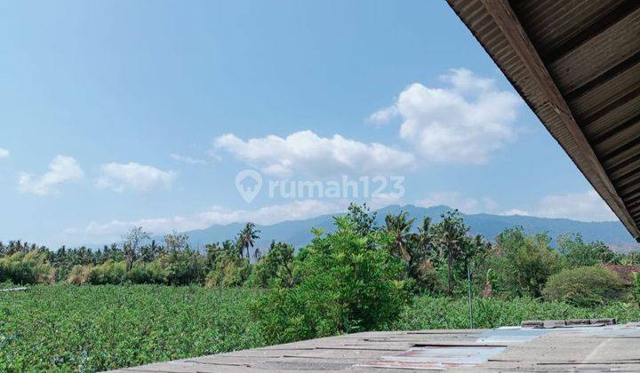 Industrial Zone Land in Gerokgak Buleleng Bali 2