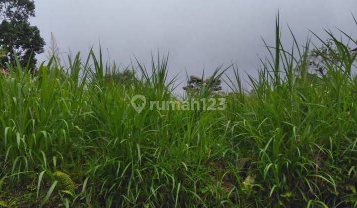 Tanah di Wanagiri Buleleng Bali view lembah dan laut 1