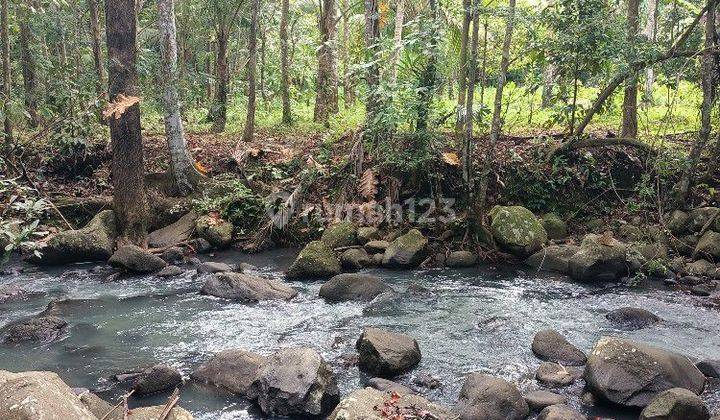 Tanah view sungai dekat Villa Bali Lush dan Bali Green Retreat 1