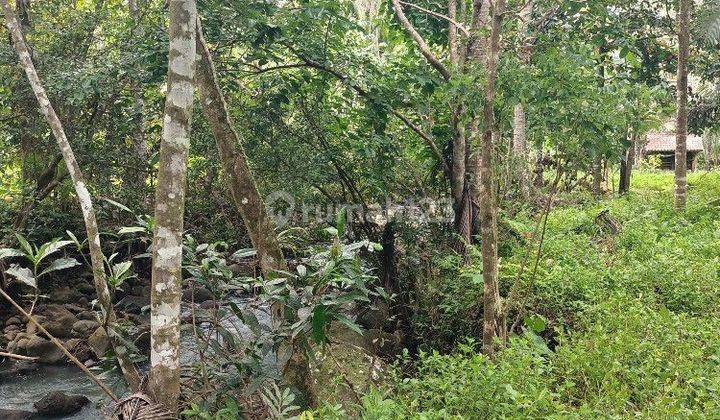 Tanah view sungai dekat Villa Bali Lush dan Bali Green Retreat 2