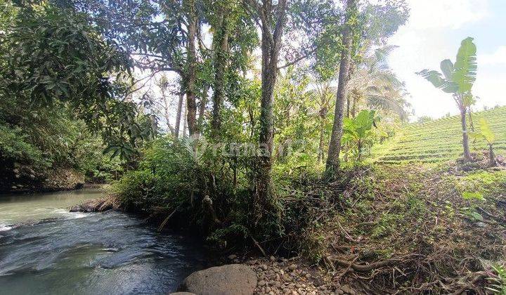 Land with river and rice field views near Villa Bali Lush 1