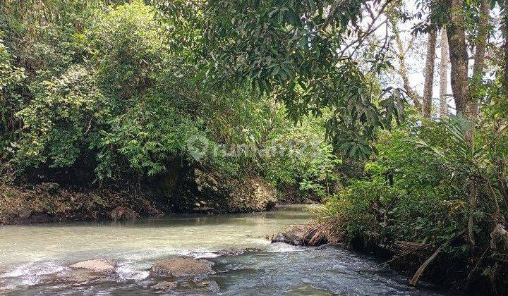 Land with river and rice field views near Villa Bali Lush 2