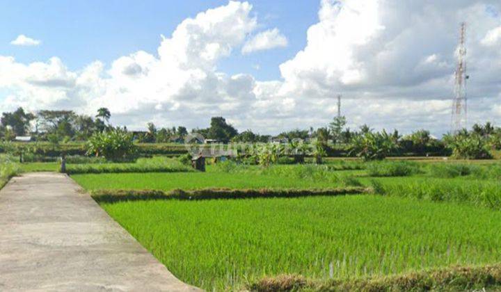 Tanah view sawah dan gunung di Keramas Gianyar Bali 1