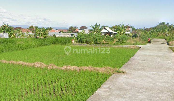 Tanah view sawah dan gunung di Keramas Gianyar Bali 2