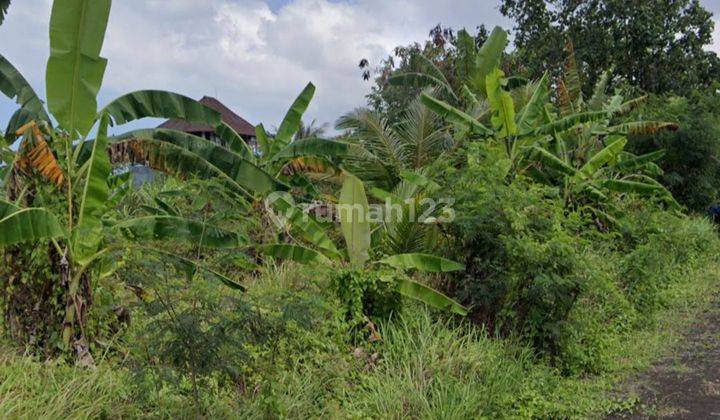 Tanah di Pandak Gede hanya 15 menit dari Pererenan Bali 2